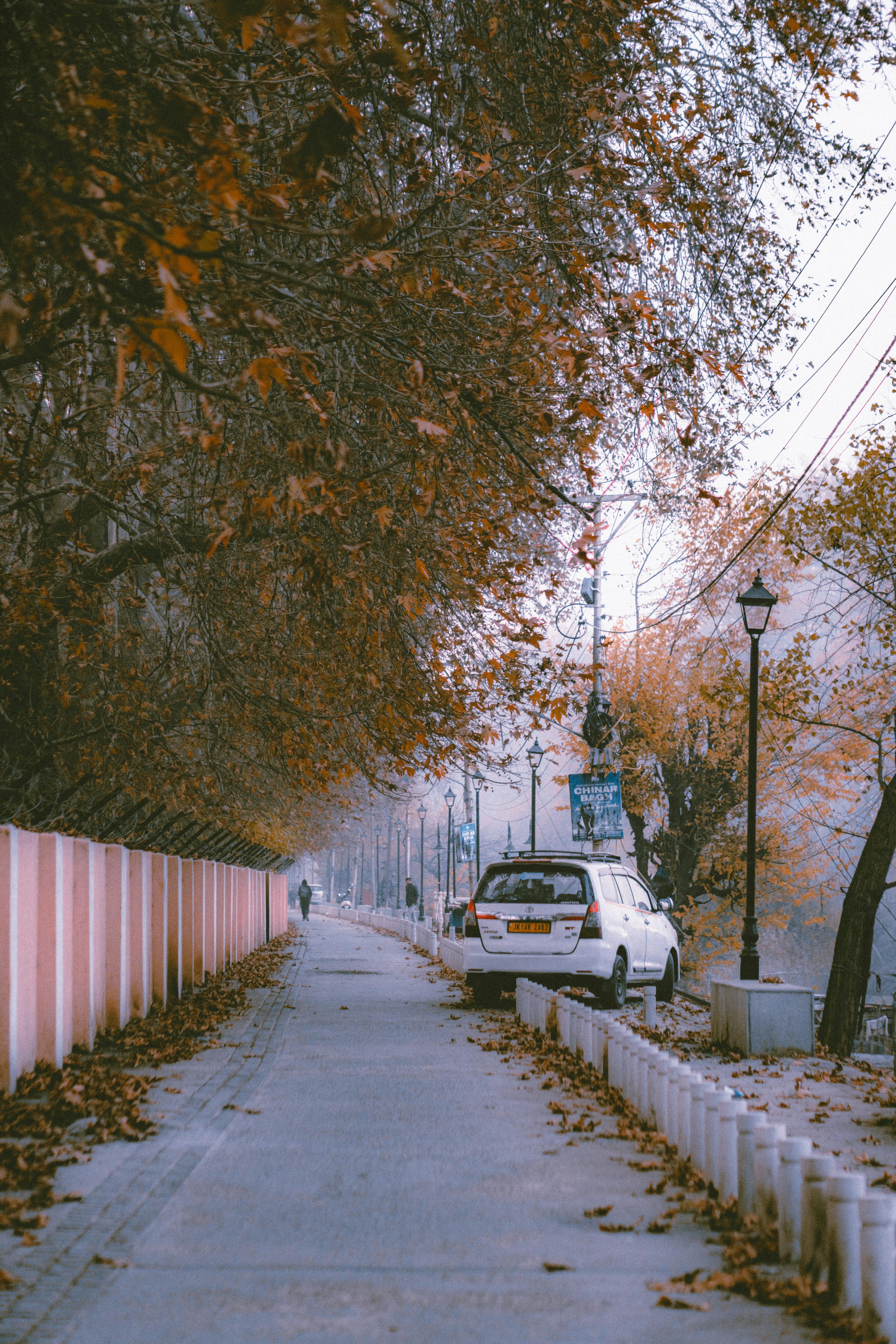 scenic autumn roadside path with car