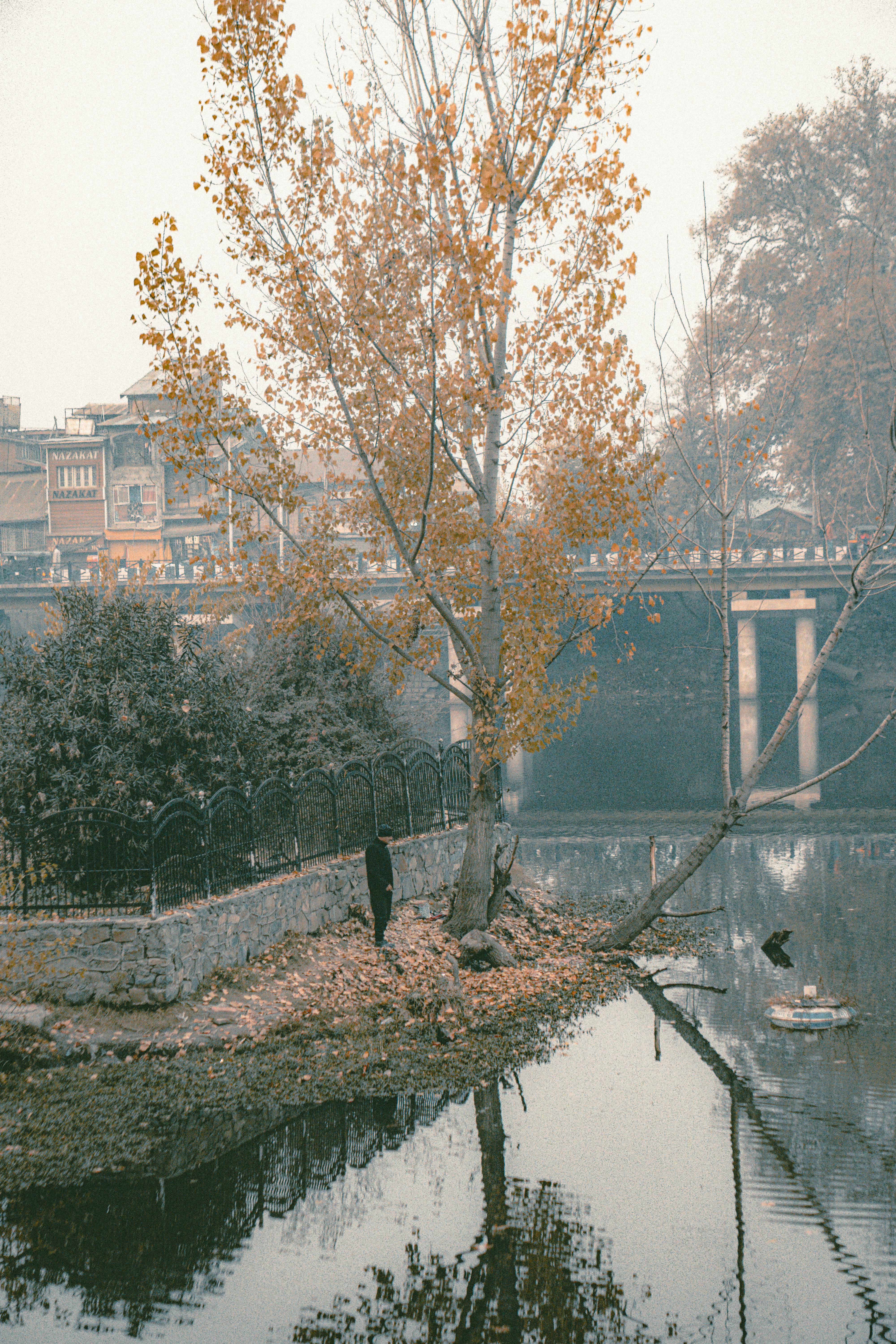 serene fall scene with bridge and reflection