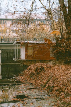 A scenic autumn view of a cozy houseboat along a leaf-covered riverside, under a canopy of bare trees.