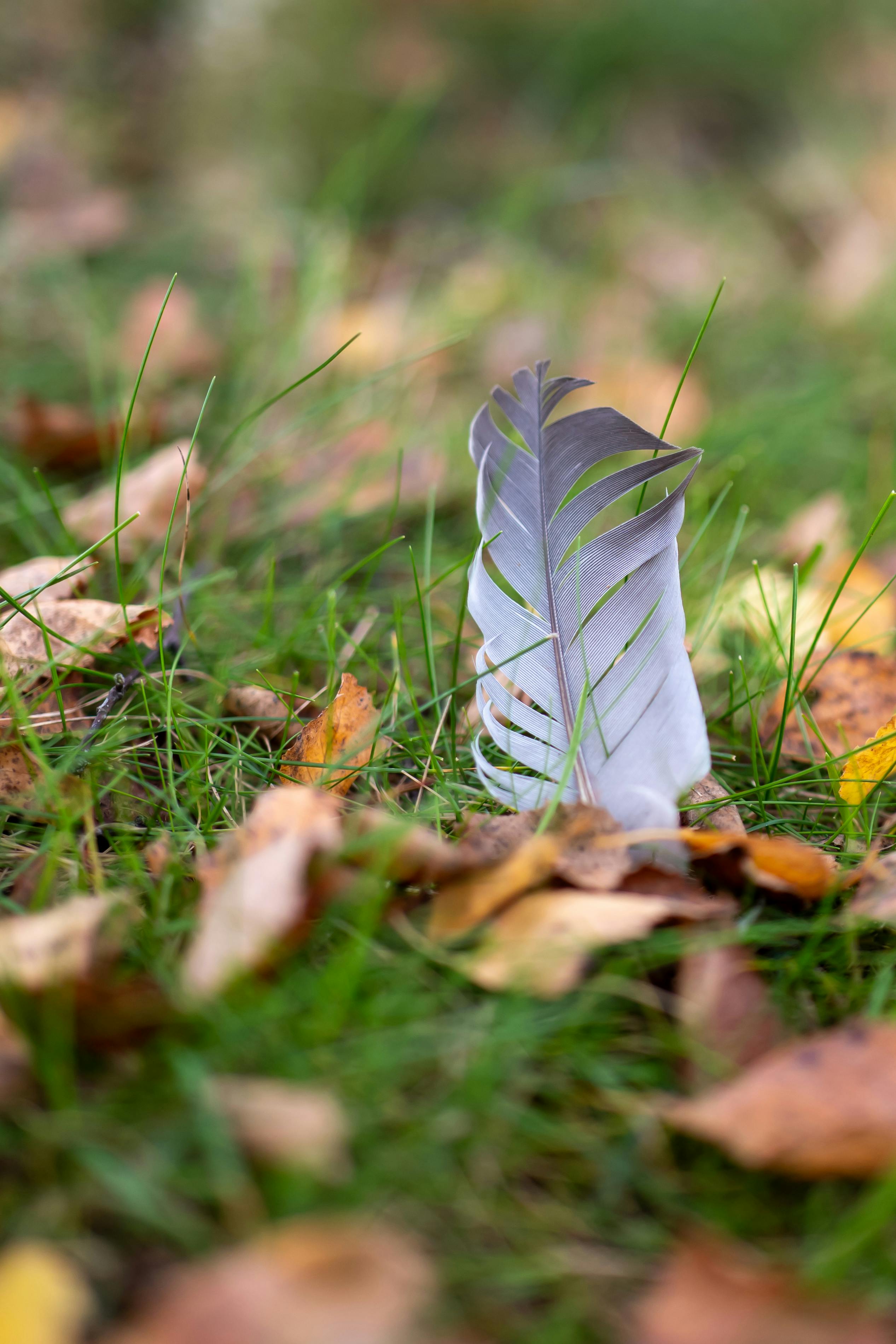 4 Concepts About Plant Extracts That Actually Work