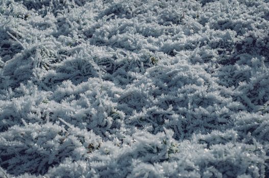 A close-up of frost crystals on grass, capturing the beauty of a cold winter morning.