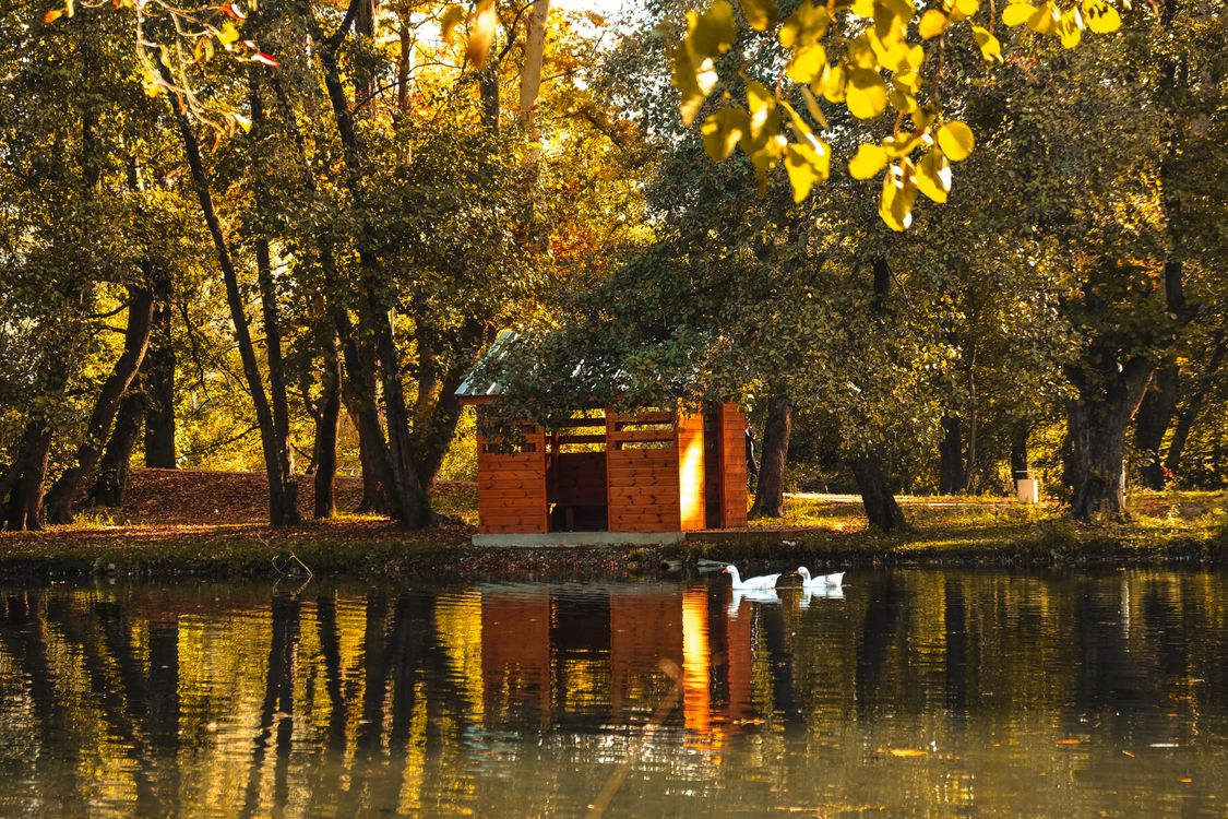 Serene Autumn Lake Scene with Wooden Cabin · Free Stock Photo