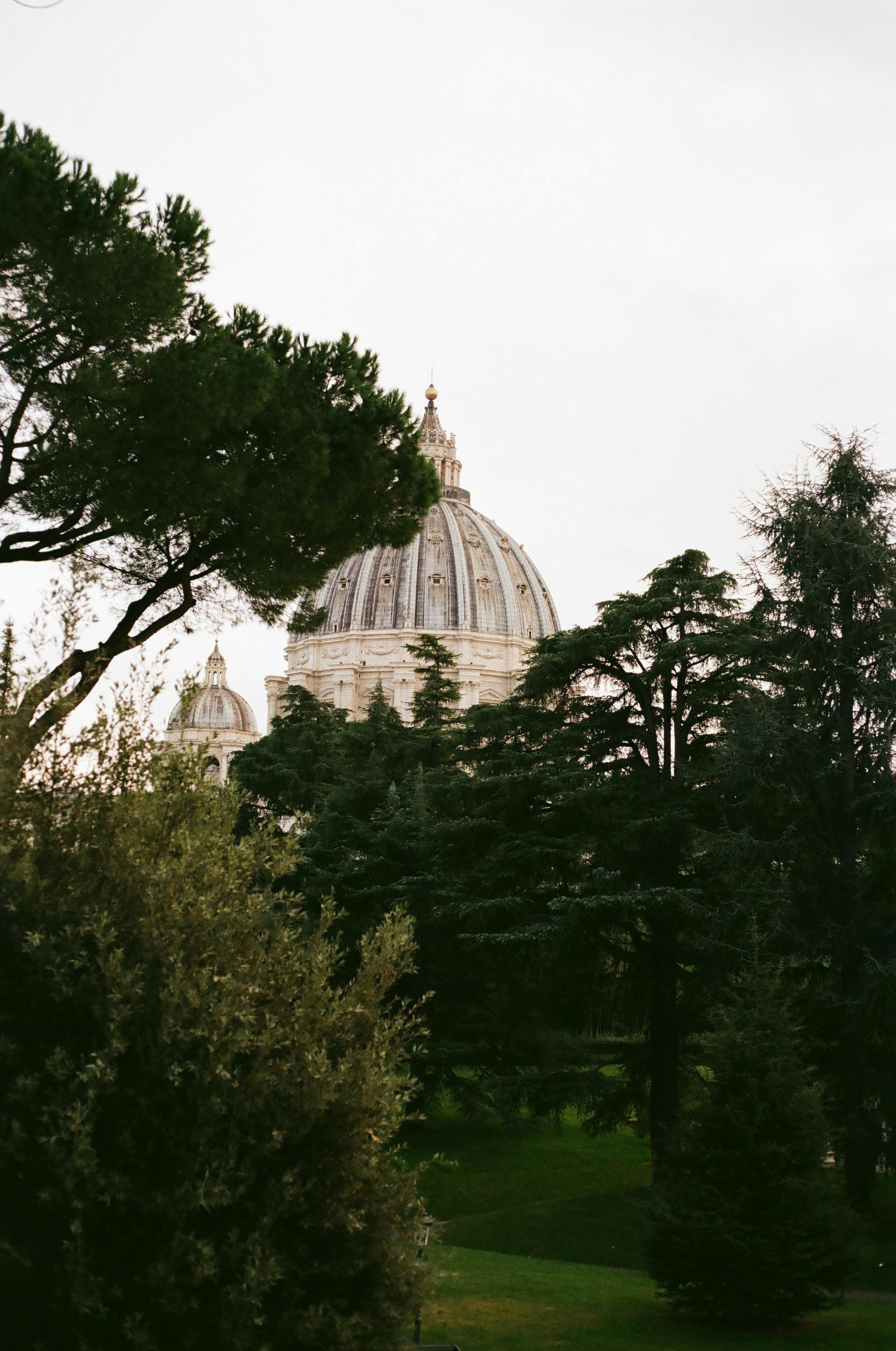 Serene view of St. Peter's Basilica dome framed by verdant trees in Vatican City, a blend of architecture and nature.