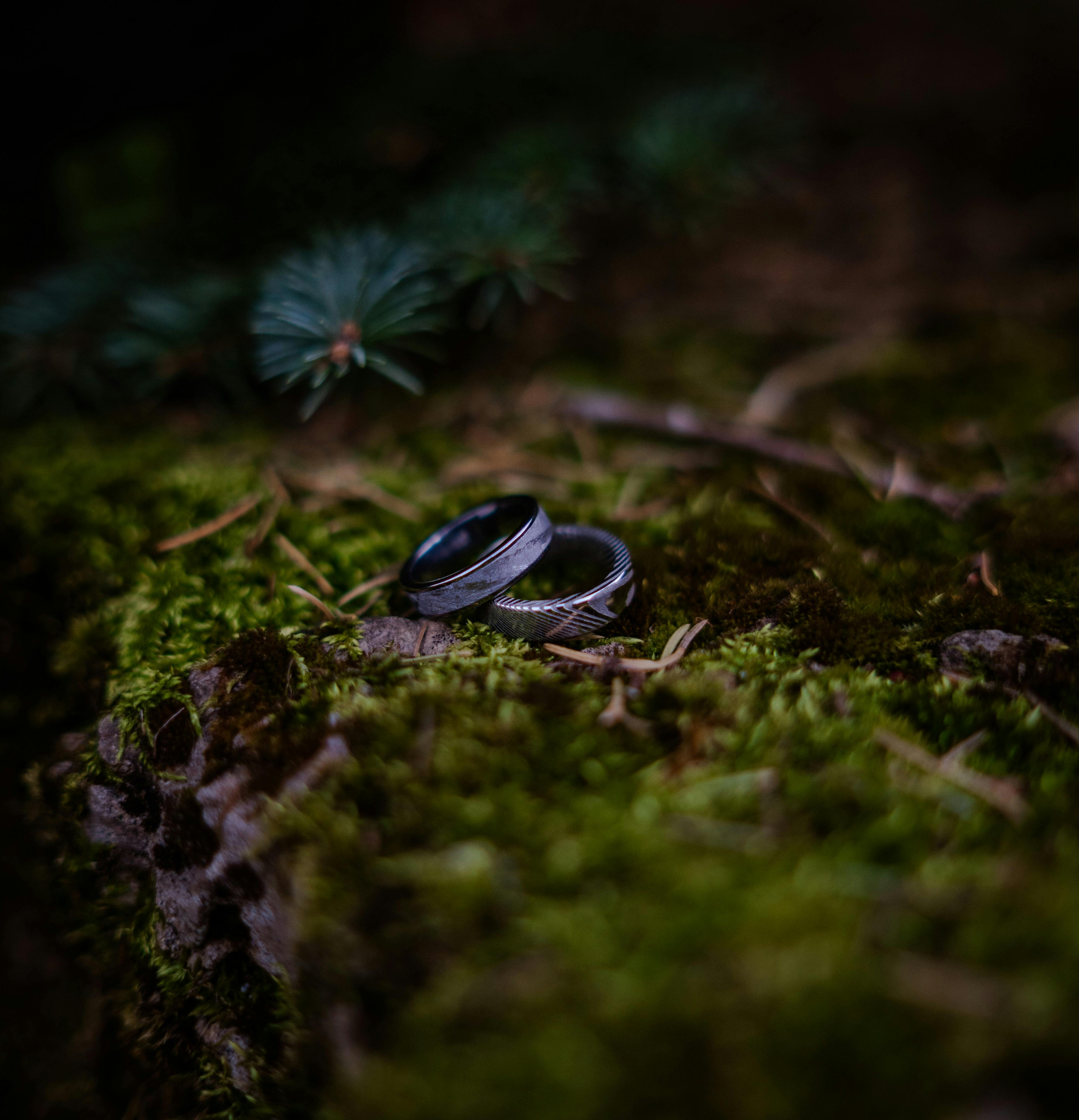 elegant black rings on mossy forest floor