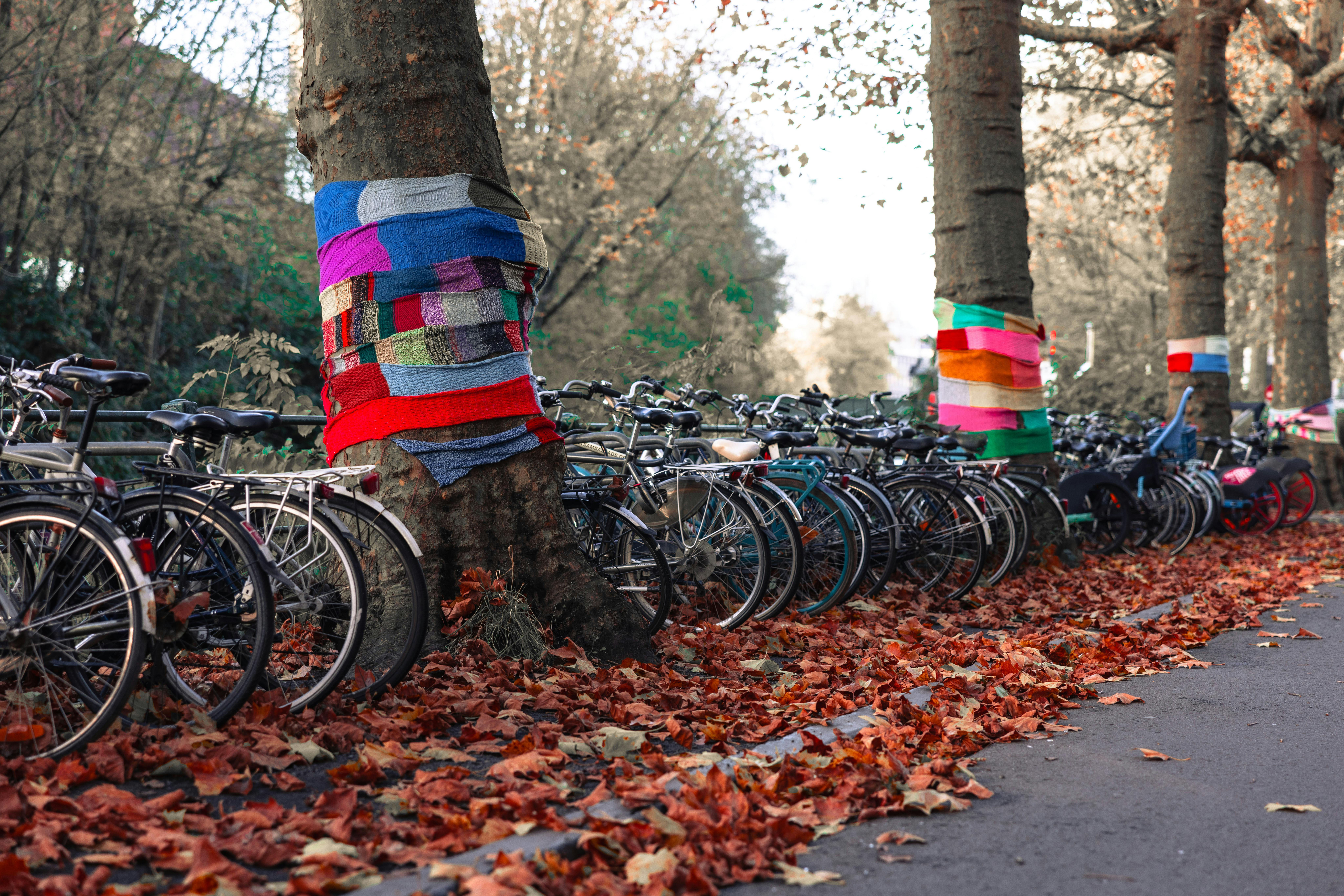 Bicycles by yarn-bombed trees in autumn, creating a vibrant street scene in Ghent, Belgium.