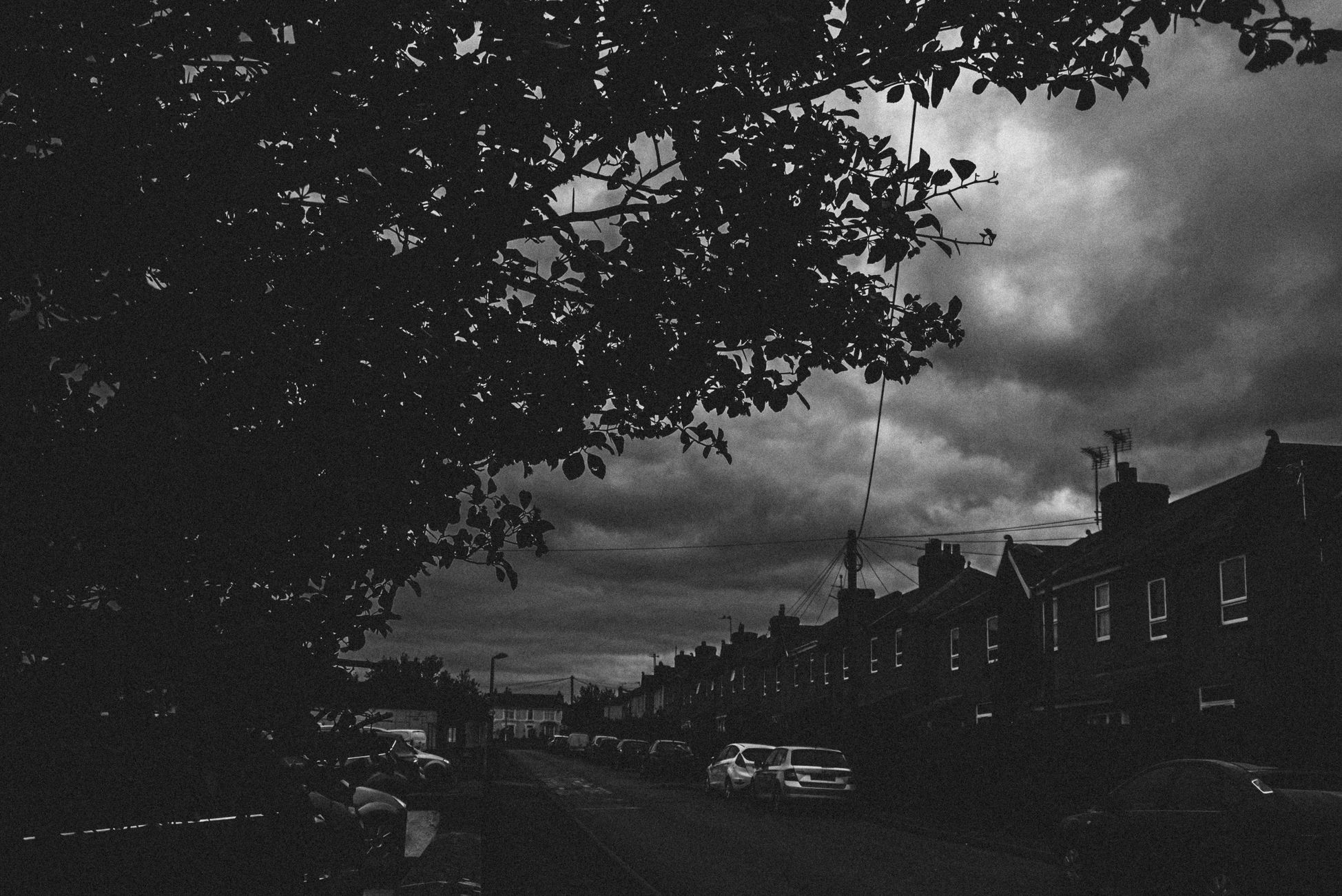 Noodweer verwacht met kans op omvallende bomen en ondergelopen straten