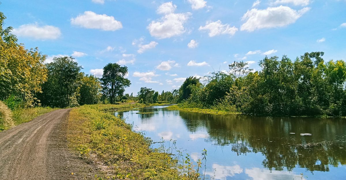 Water Rover Side Sunny Riverside Path with Reflective Water · Free Stock Photo