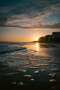 Serene beachfront scene with a sunset reflecting on the shore, creating a tranquil atmosphere.