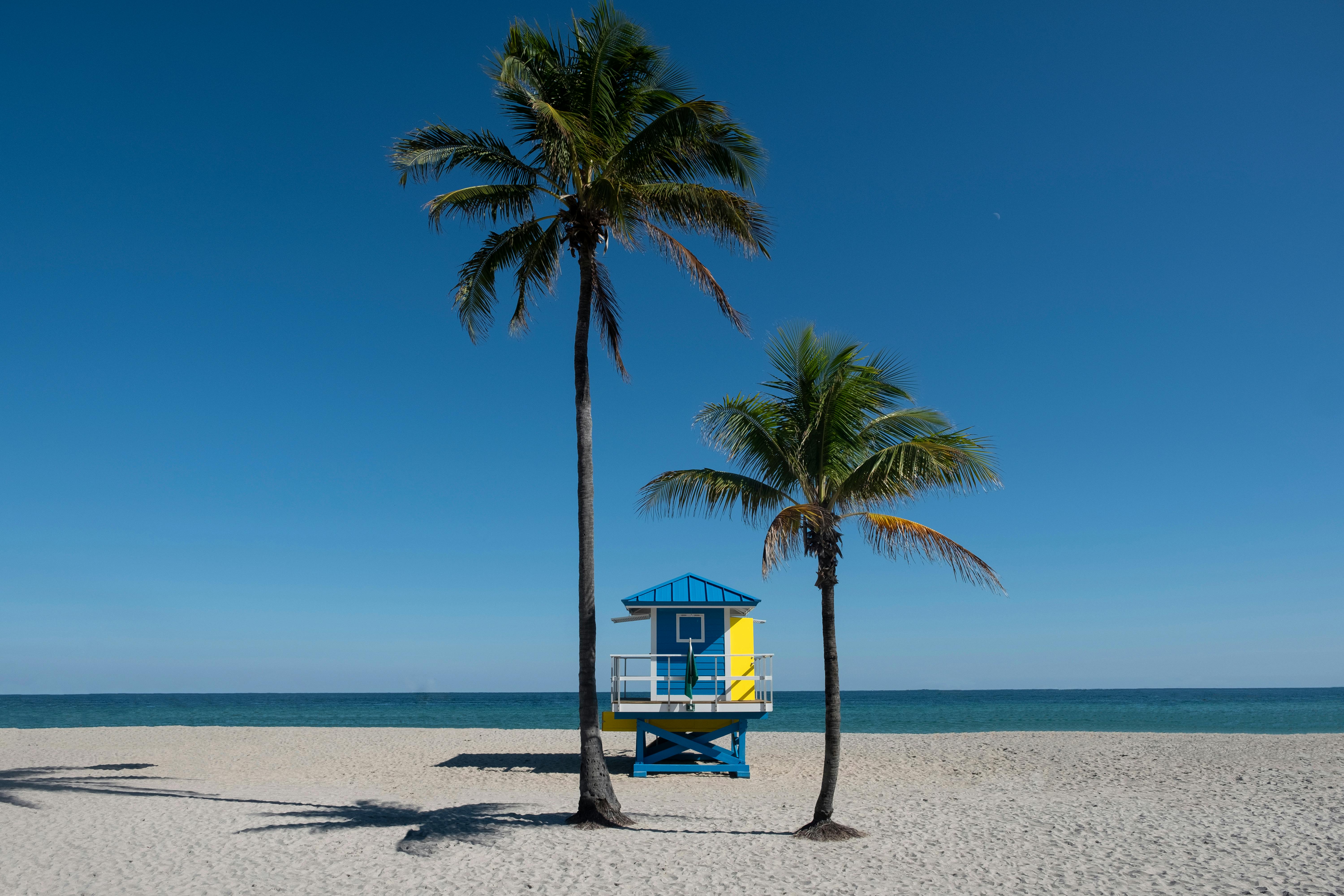 Serene Florida beach scene with palm trees and colorful lifeguard hut on a sunny day.