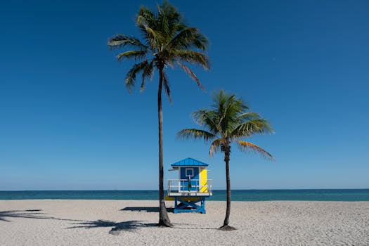 Serene Florida beach scene with palm trees and colorful lifeguard hut on a sunny day.