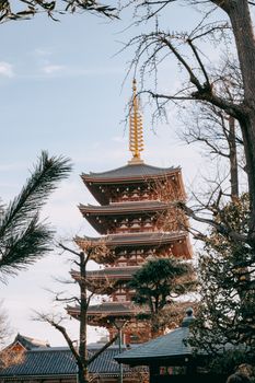 Elegant pagoda amidst trees and sky in Tokyo, Japan, exuding serene beauty.