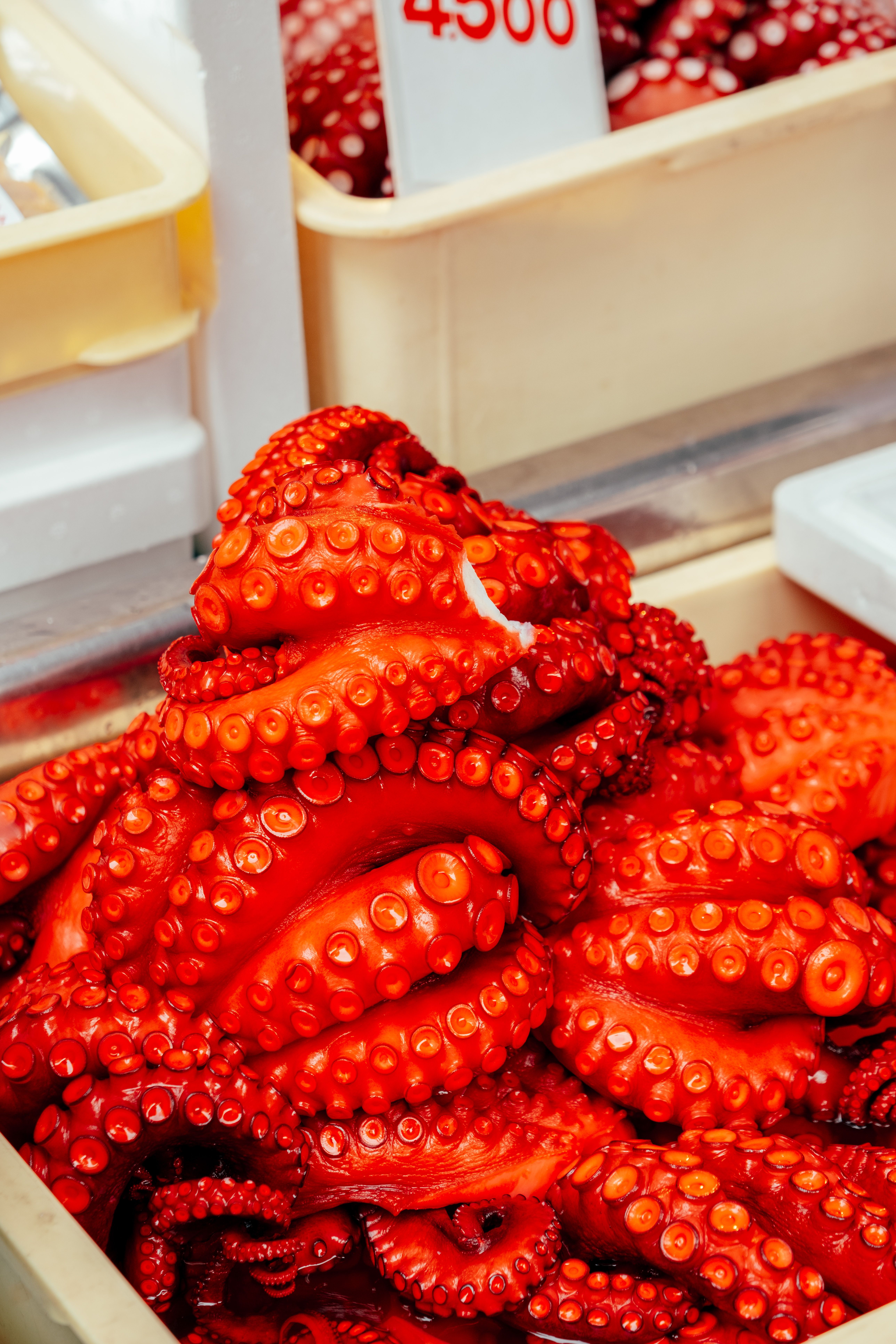Close-up of vibrant red octopus tentacles in a Tokyo seafood market display.