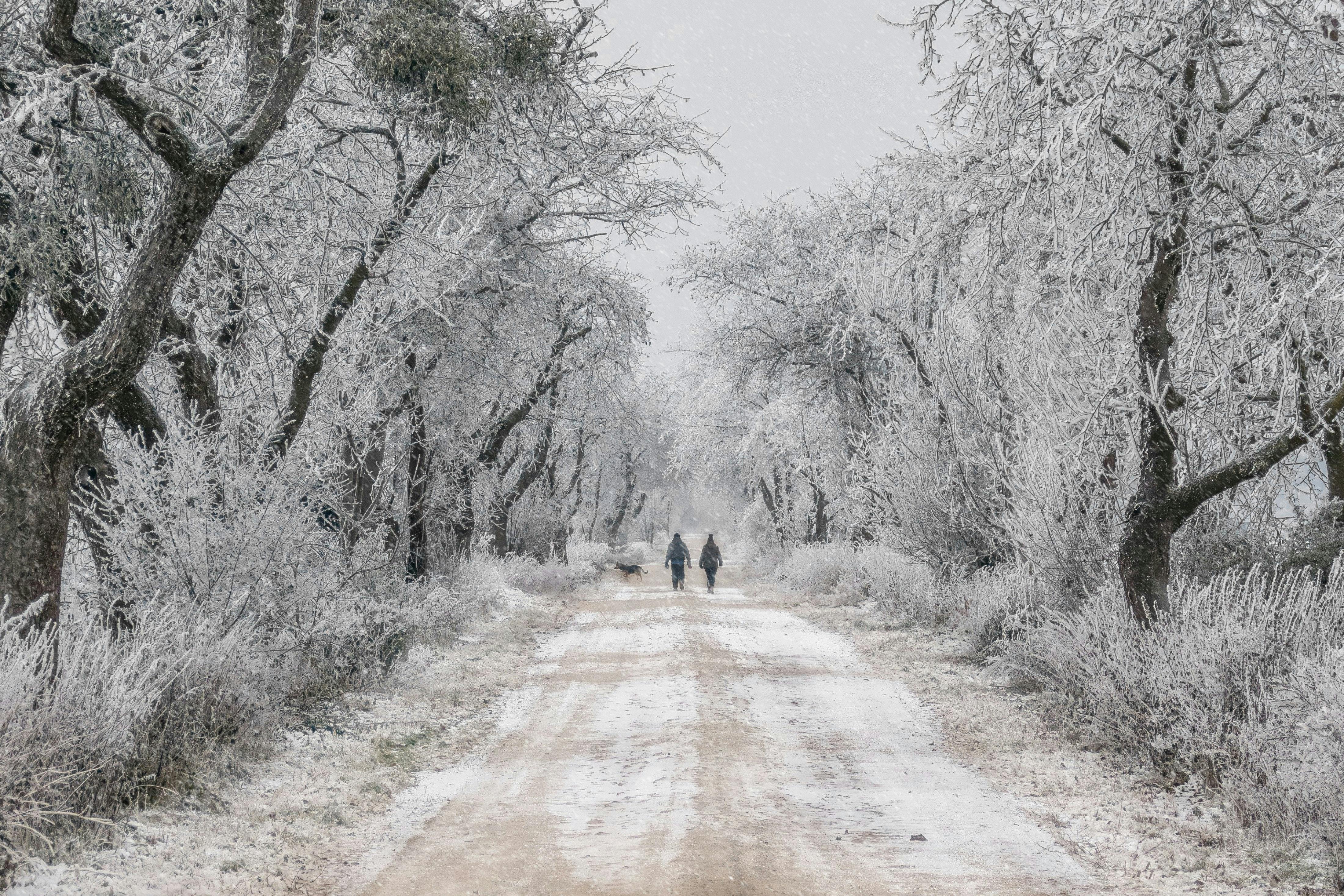 pexels-photo-29531857.jpeg?auto=compress&cs=tinysrgb&h=650&w=940