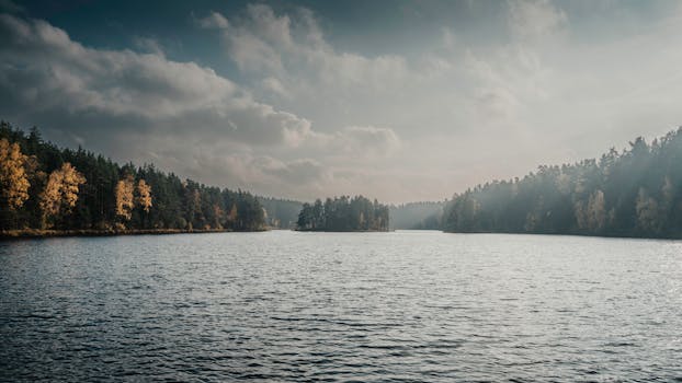 Viitna Lake in autumn, surrounded by golden trees under a cloudy sky.