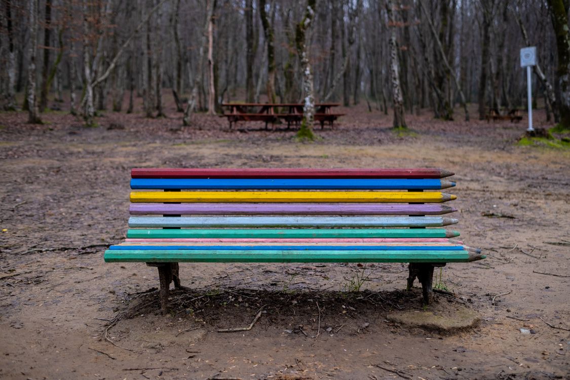 Colorful Bench in İstanbul Wooded Park · Free Stock Photo