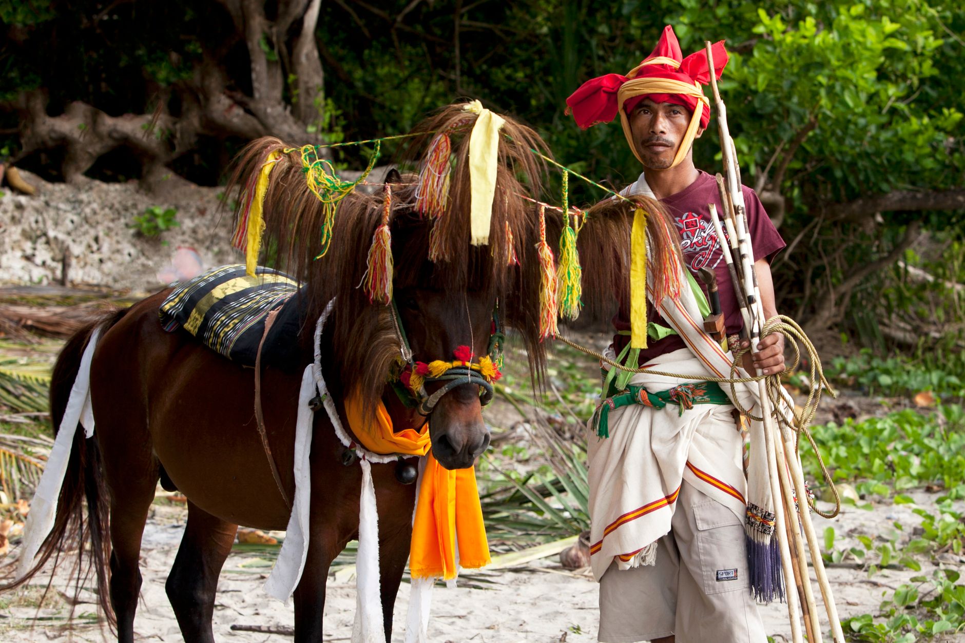 Sumbanese man in traditional attire with a decorated horse in a lush green setting.