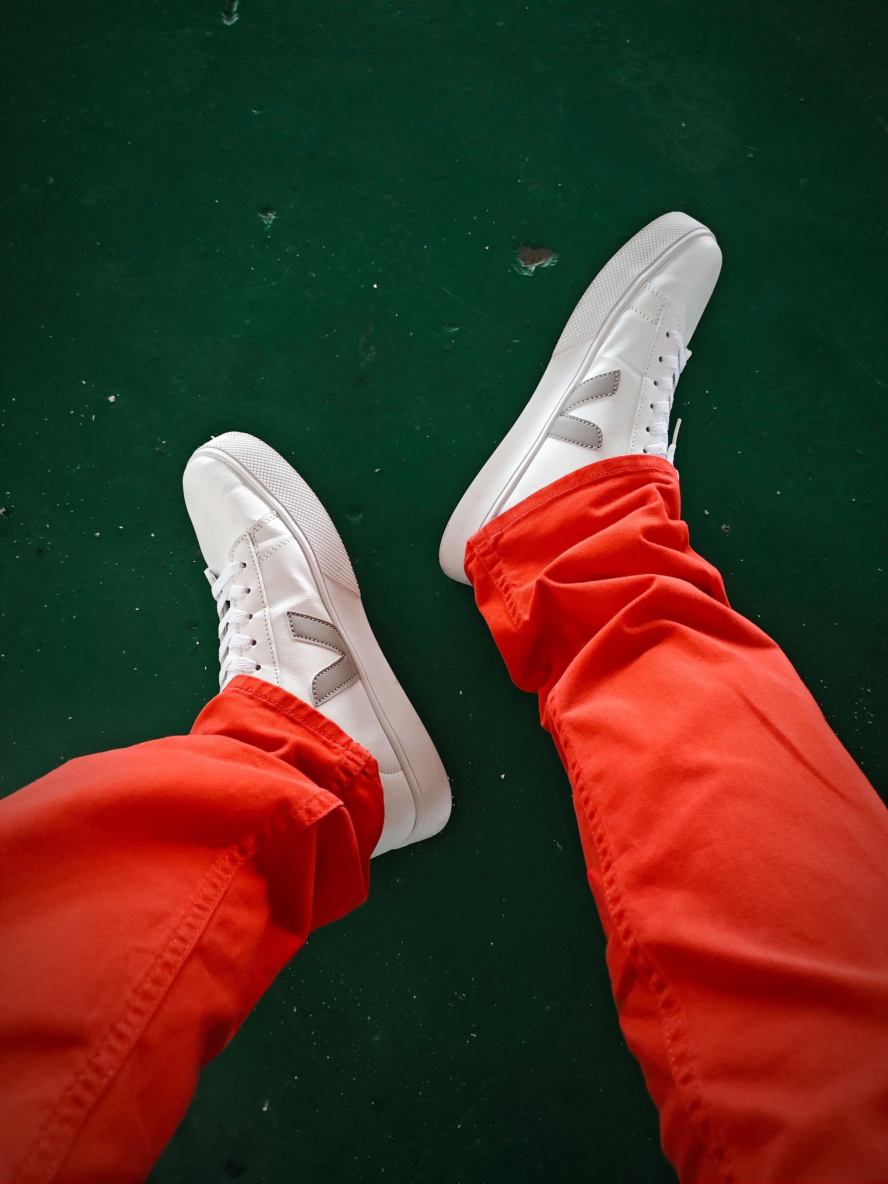 Veja sustainable sneakers