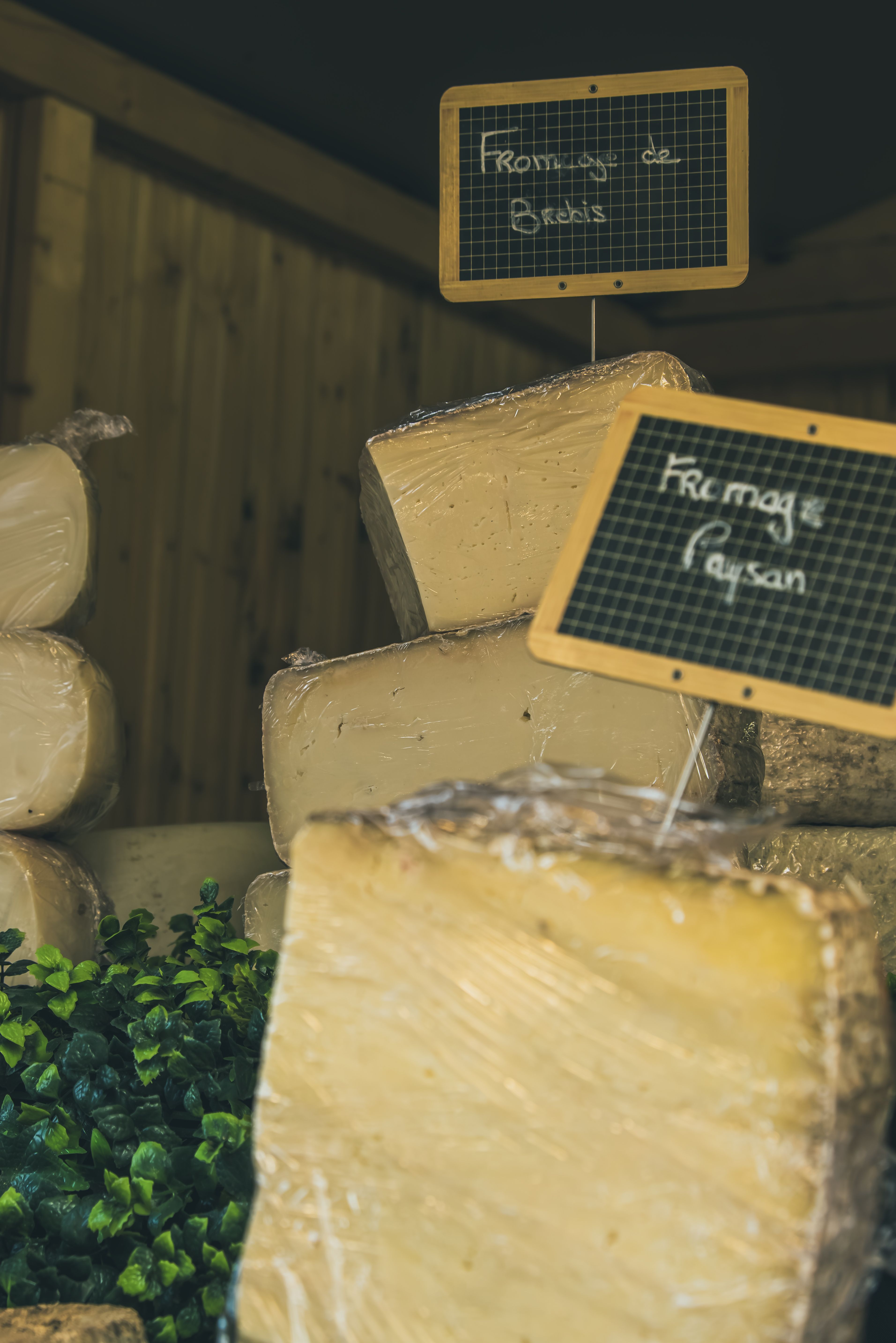 Cheese