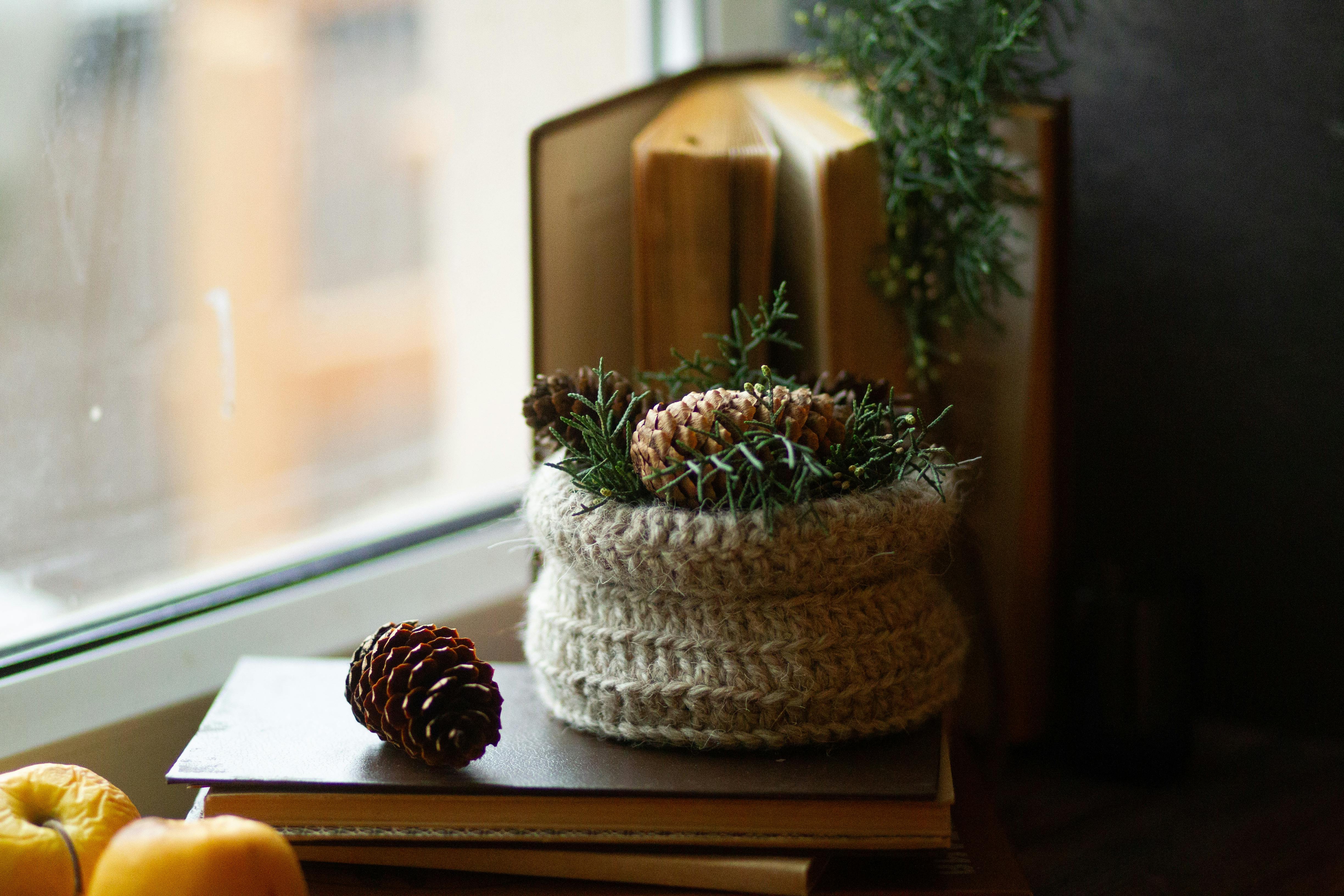 Gratuit O scenă caldă de toamnă cu conuri de pin, cărți și vedere la fereastră cu decor confortabil. Fotografie de stoc