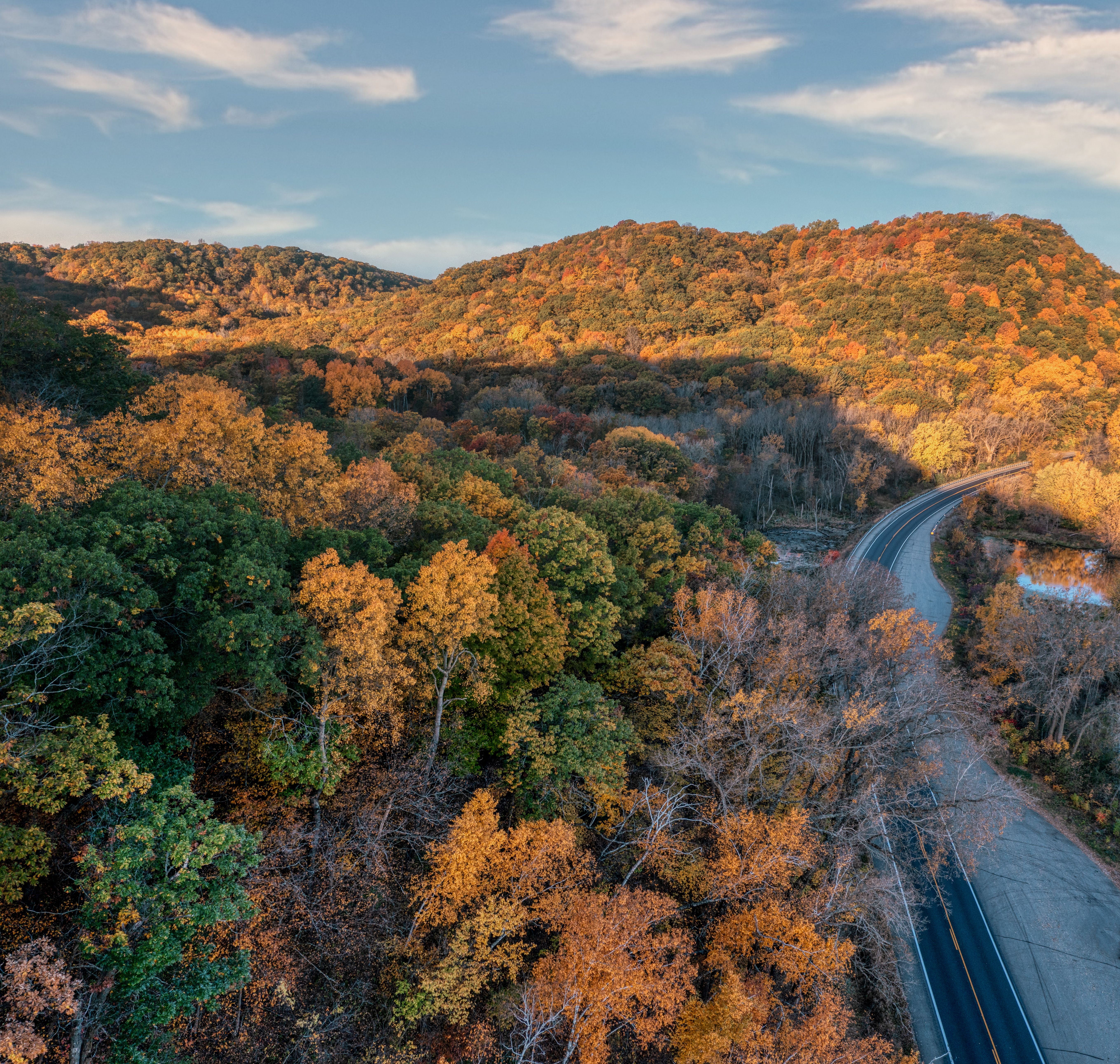 Autumn Foliage Scenic View in Maple Springs · Free Stock Photo