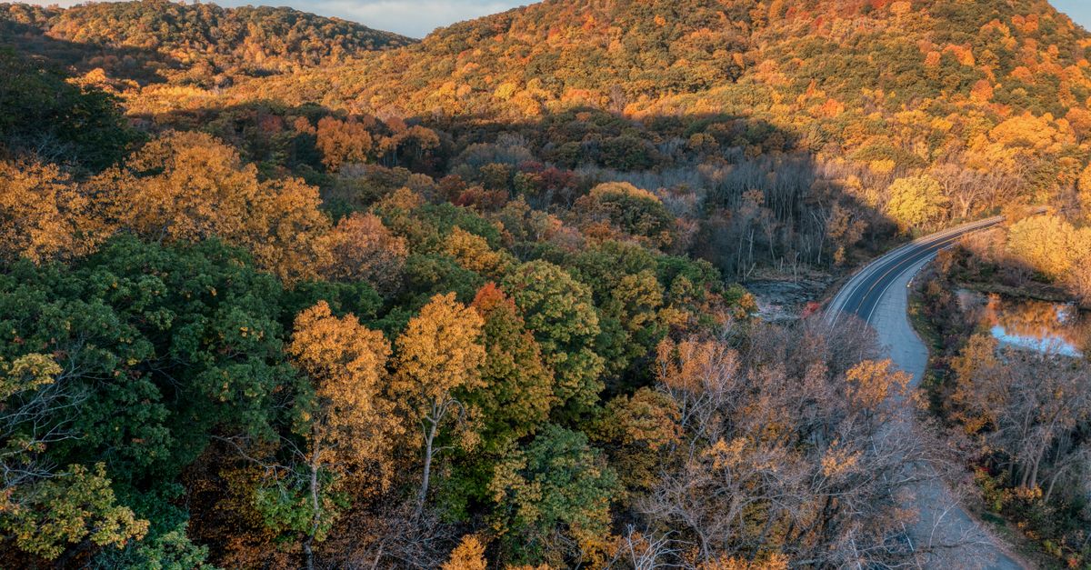 Autman Spring Autumn Foliage Scenic View in Maple Springs · Free Stock Photo