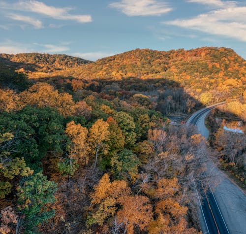 Pennsylvania’s Charming Park Boasts Stunning Fall Leaves