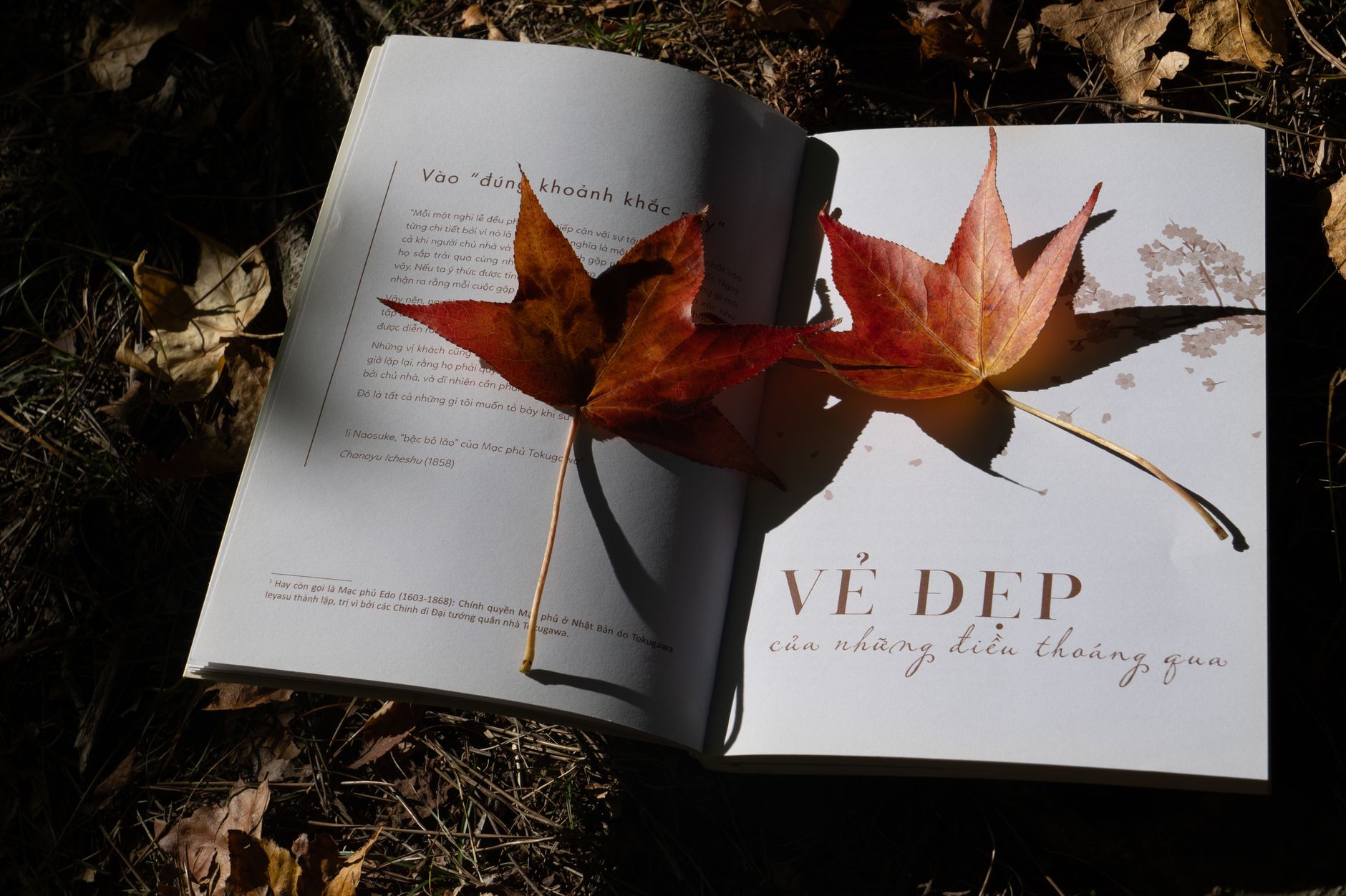 หนังสือมานุษยวิทยาเปิดหน้าบทความ Deep Play วางข้างสมุดโน้ตและภาพวาดสนามบาหลี