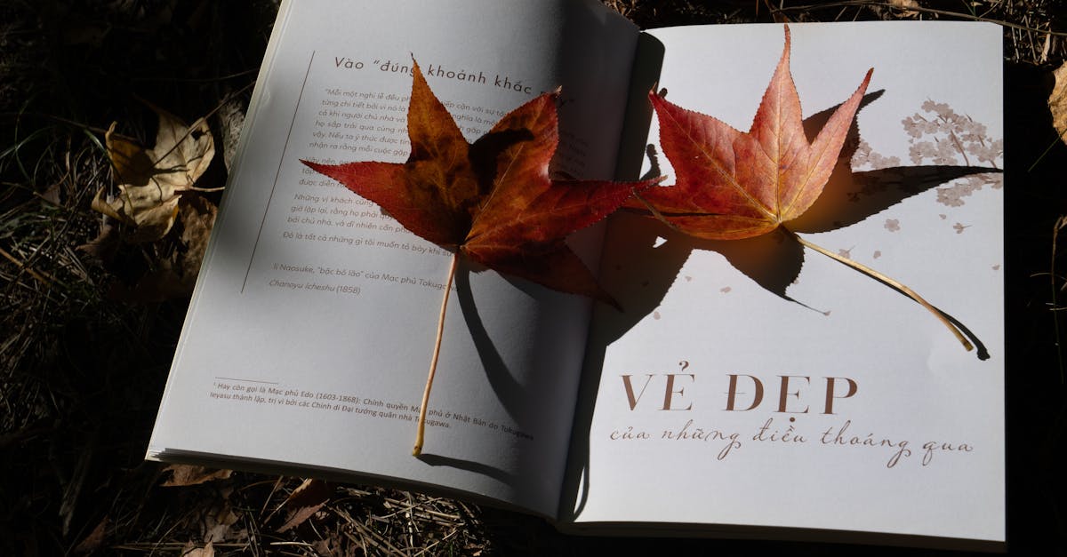 Open book outdoors with autumn leaves in sunlight conveying calm and beauty.