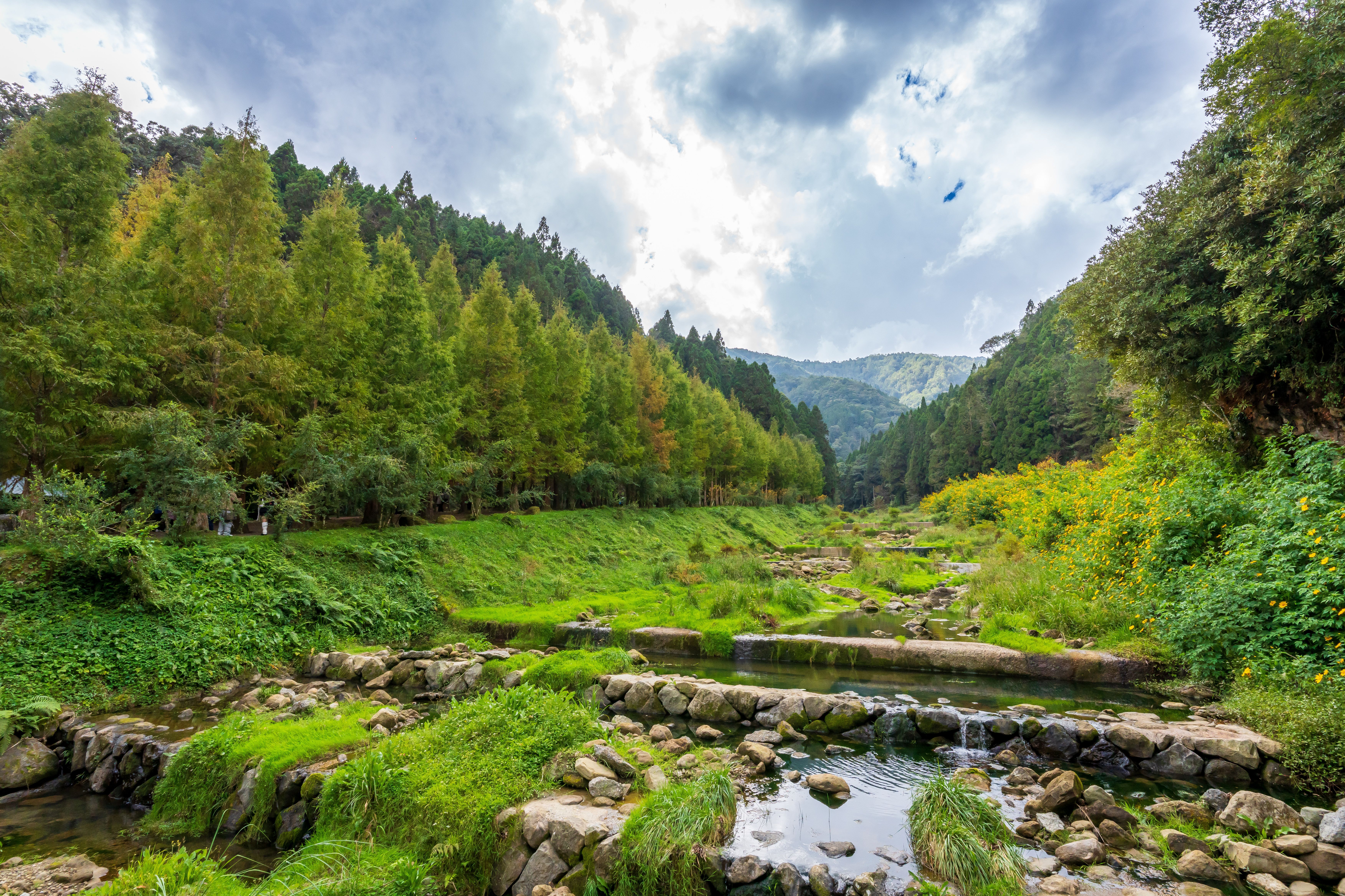 A serene stream flows through a lush green valley surrounded by dense forest under a cloudy sky.