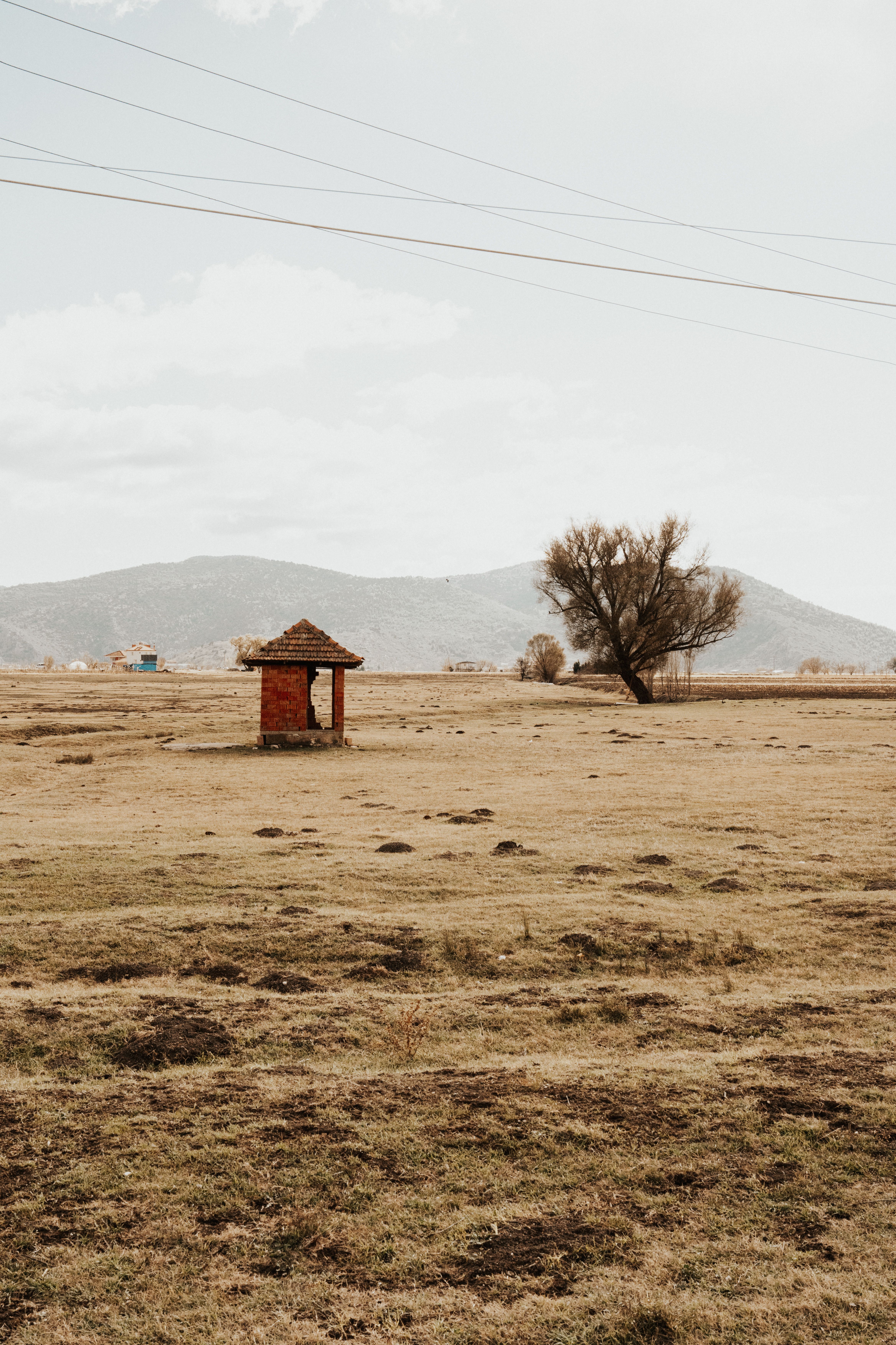 Serene Rural Landscape with Distant Mountains · Free Stock Photo