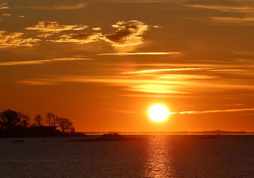 Free A captivating orange sunrise over the Stamford coastline with silhouetted trees and shimmering waters. Stock Photo
