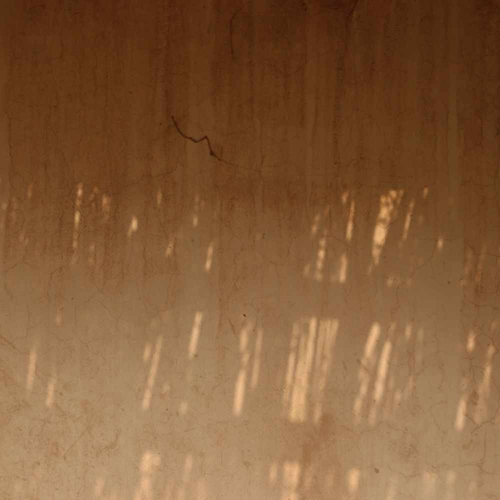 Wallpapering in Camden Town — surfaces prepped and cut in by hand