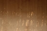 Textured Wall with Soft Shadows and Warm Hues