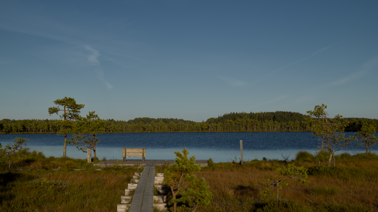 A wooden bench beside a peaceful lake, offering a quiet setting for rest and reflection