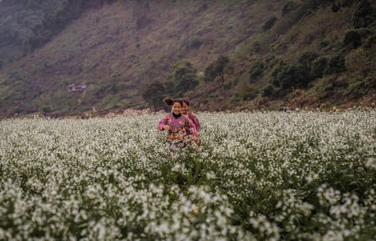 Two children joyfully run through a field of white flowers in Moc Chau, Vietnam, capturing the essence of childhood.