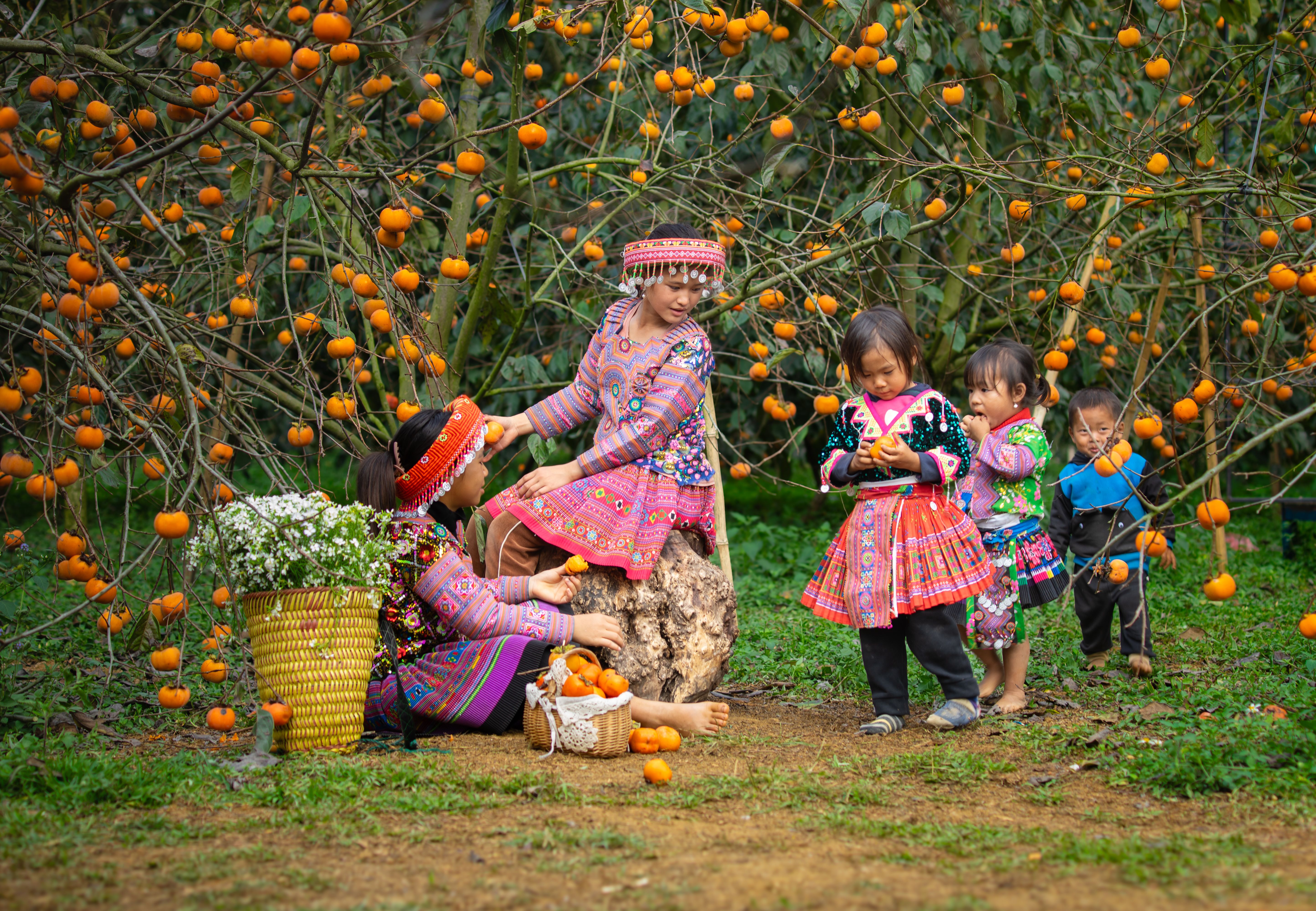 Children in Traditional Hmong Attire in an Orchard · Free Stock Photo