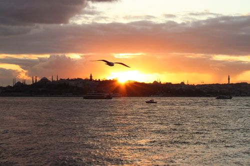 Free Dramatic sunset over İstanbul's Bosphorus with a seagull in flight and cityscape silhouette. Stock Photo