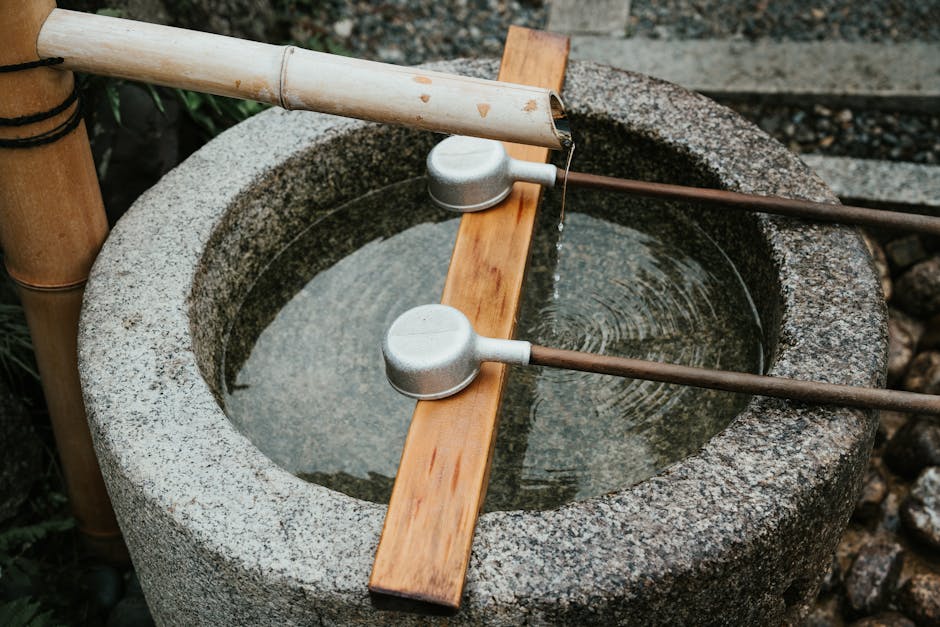 米兰-科尔蒂纳2026 自由式滑雪 大跳台 米兰-科尔蒂纳2026 自由式滑雪 大跳台