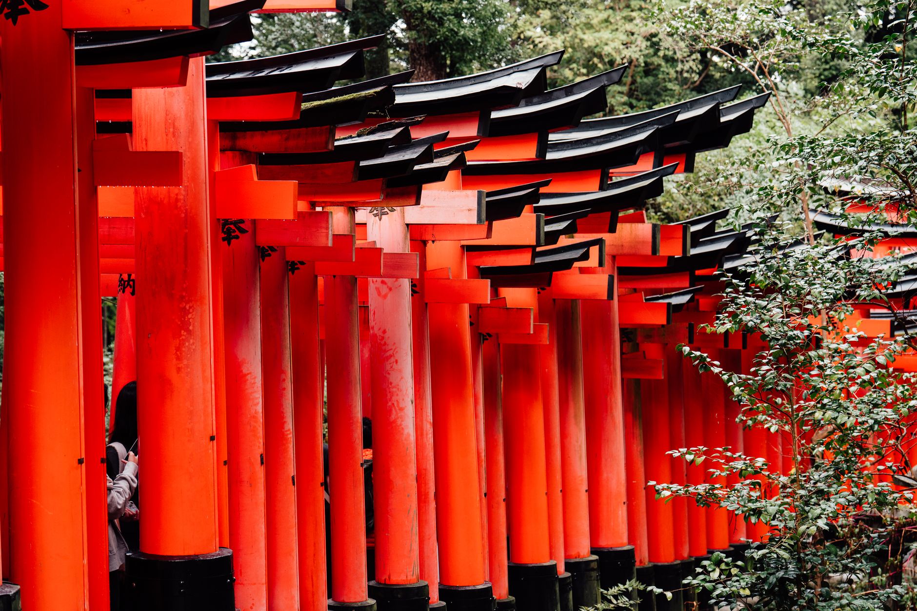 Kyoto, Japan