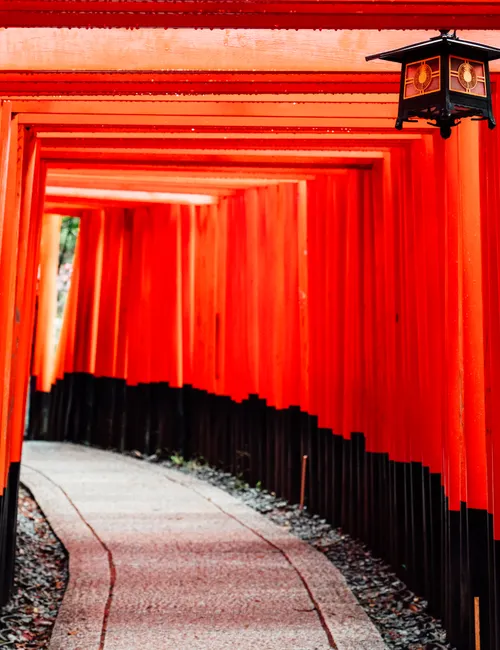 The Ultimate Guide to Kyoto's Best Temples and Shrines: Sacred Spaces of Japan's Ancient Capital