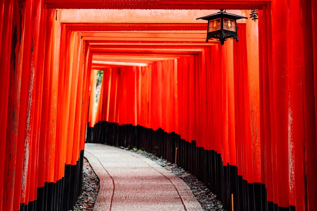 Rząd czerwonych bram torii w Fushimi Inari w Kioto