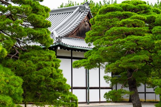 A traditional Japanese temple nestled among green pine trees, showcasing serene architecture and cultural heritage.