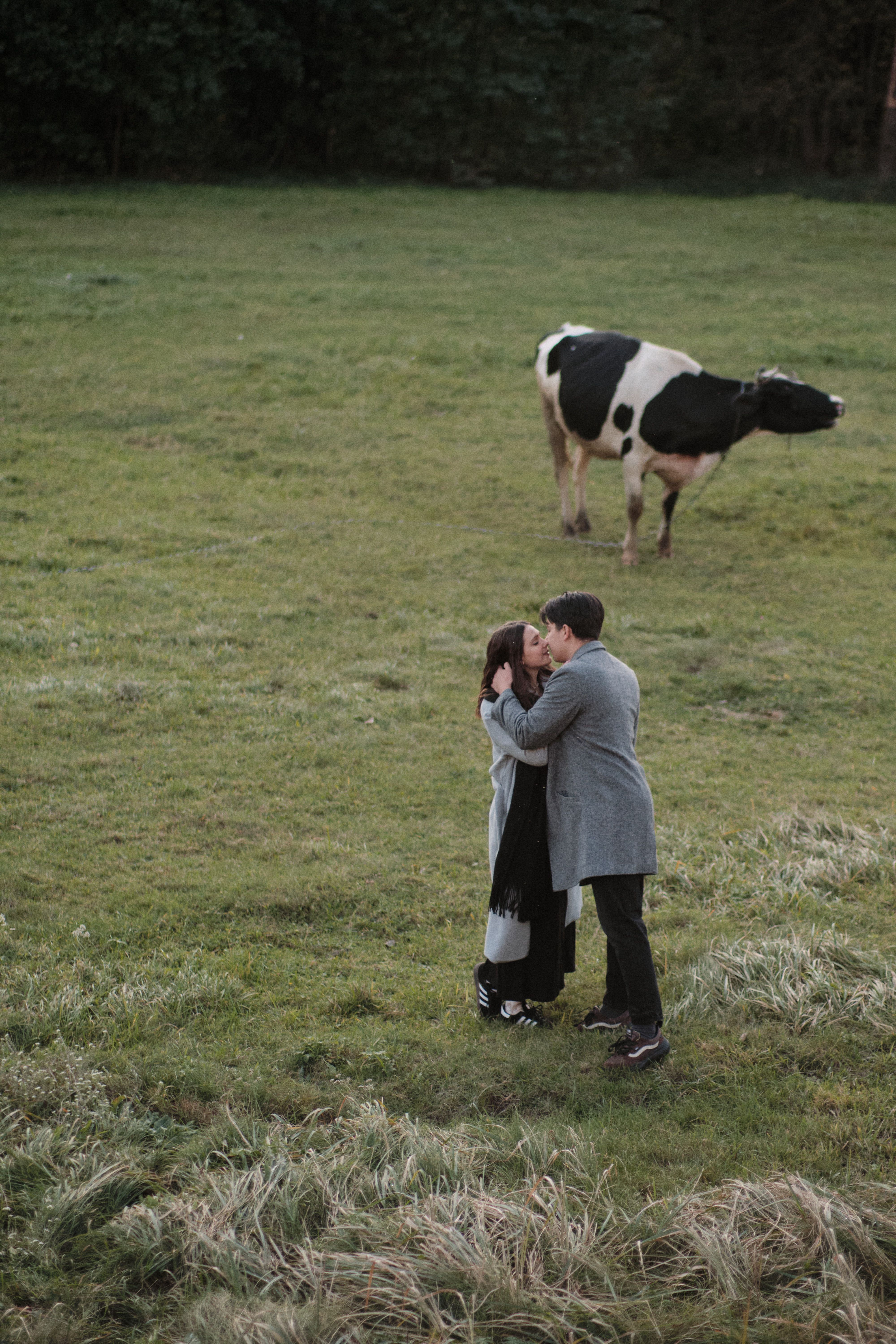 Two people embracing in a grassy field with a cow nearby, capturing a serene rural moment.