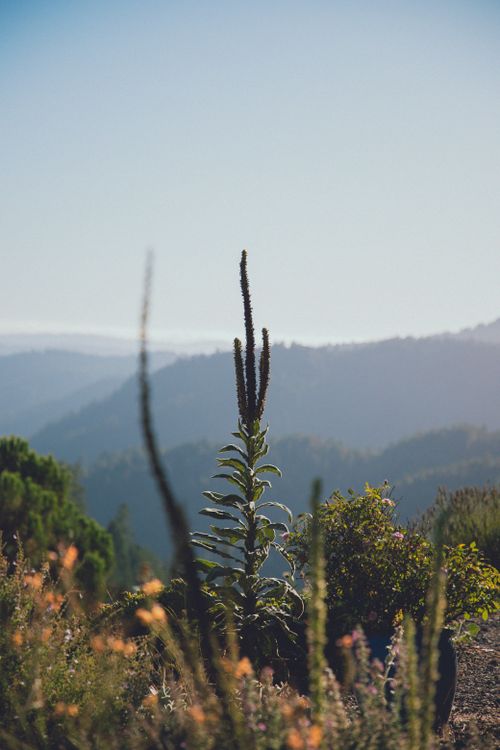 Free A peaceful mountain landscape with lush plants and clear skies, perfect for nature enthusiasts. Stock Photo