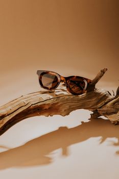 Tortoise shell sunglasses elegantly displayed on driftwood, creating a warm and artistic feel.