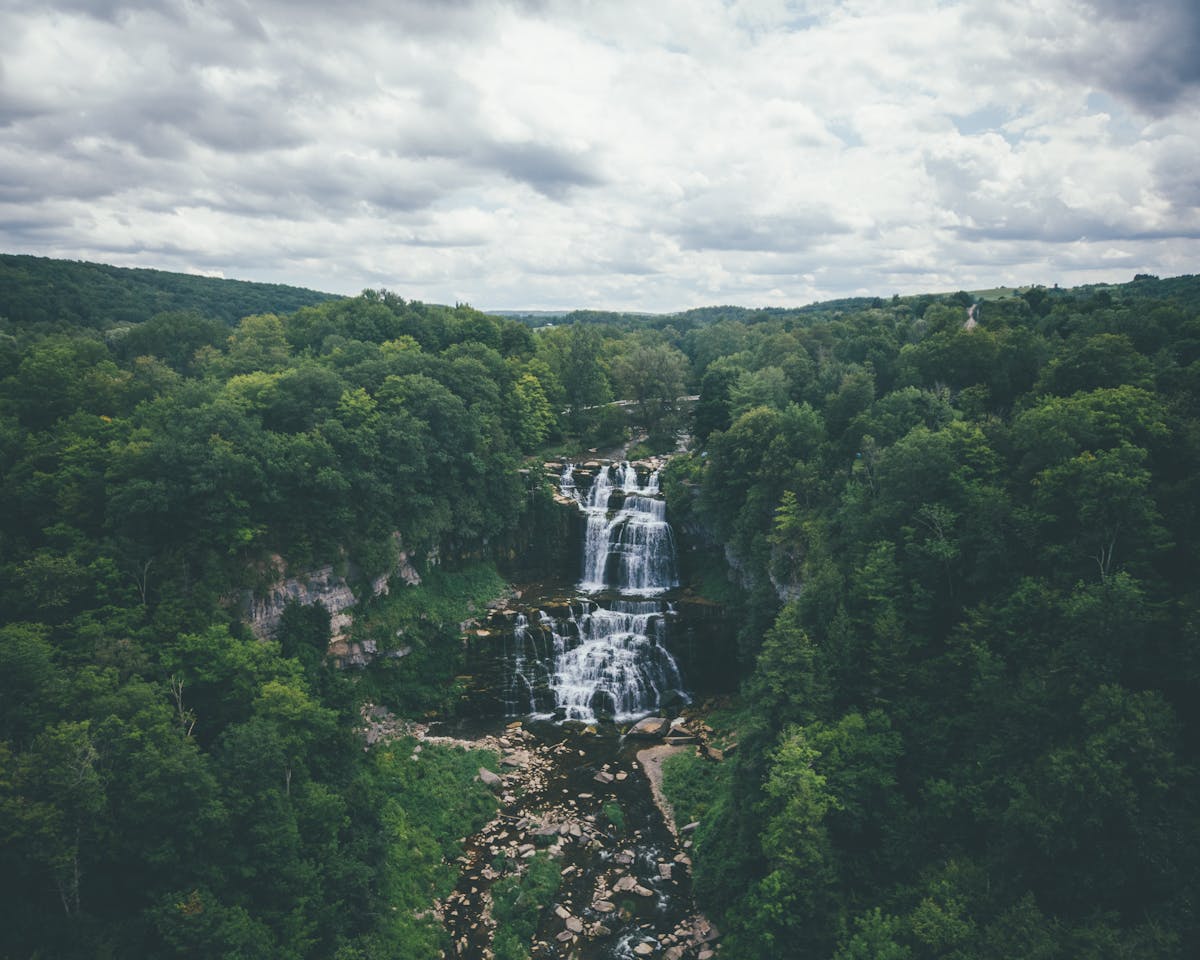 Scenic View Of A Waterfalls Surrounded by Trees