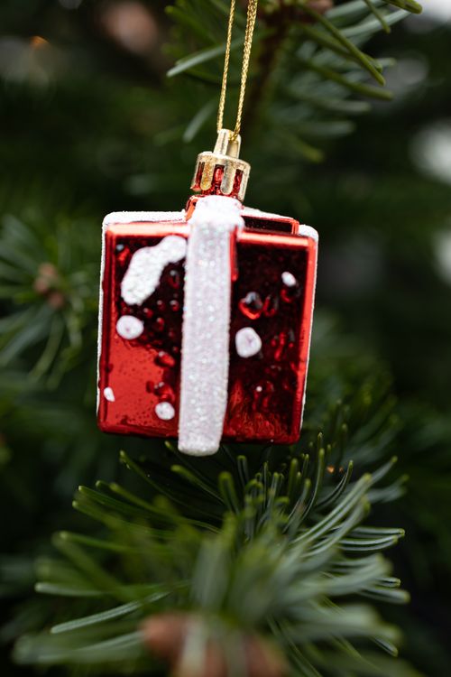 Free Close-up of a red gift-shaped Christmas ornament hanging on a green pine tree, festive holiday decoration. Stock Photo