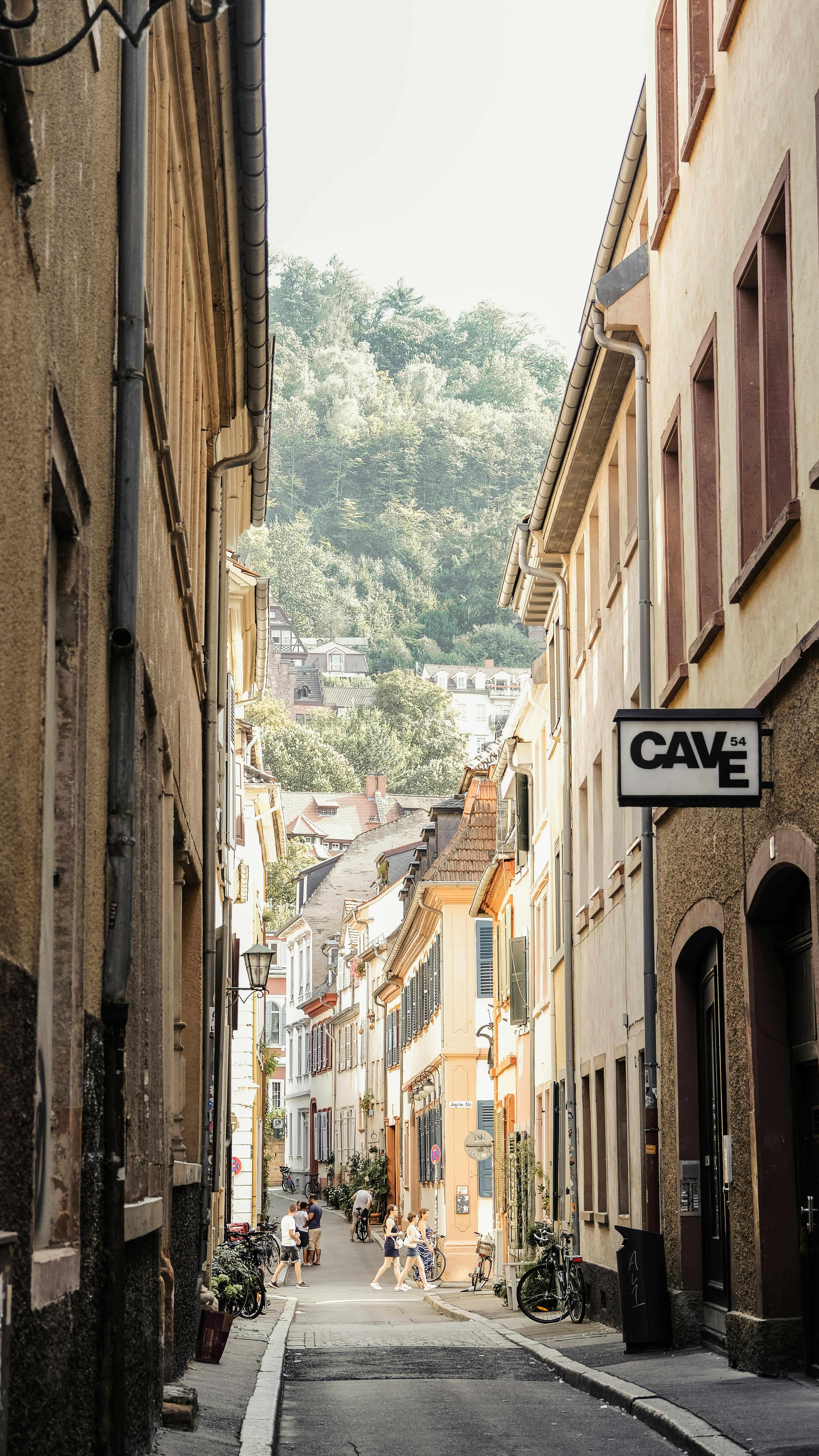 charming alley in a german village