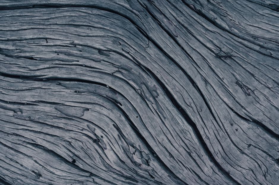 Abstract close-up of wood texture with curved grain, perfect for backgrounds.
