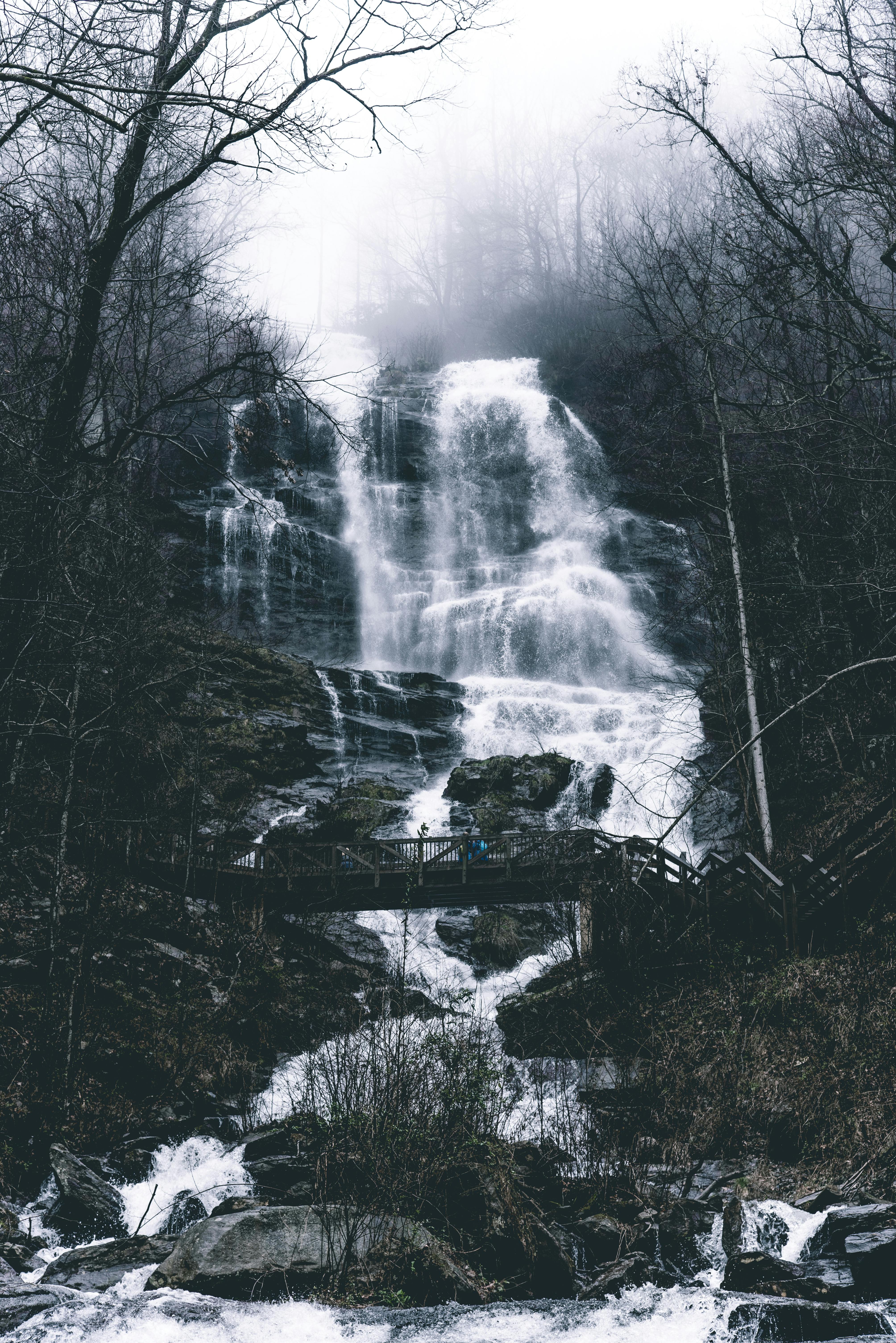 50 000+ najlepszych zdjęć z kategorii